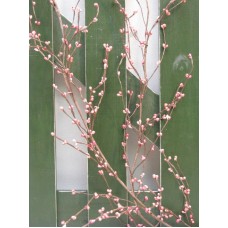 AA Floral Designs Mushberry Garland AAFD1031